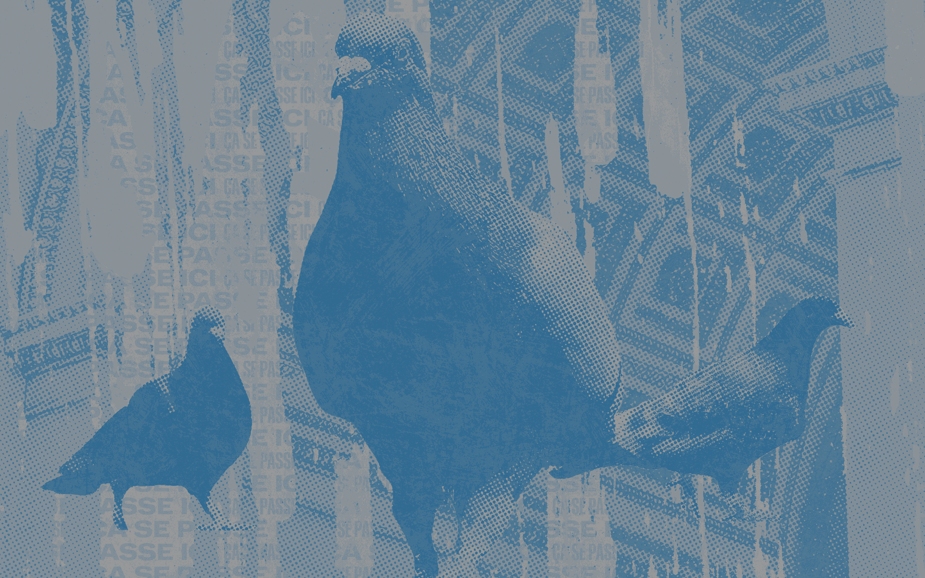 Twitter is for the birds